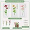 3-Piece Flower Cross Stitch Bookmark Kit for Beginners – DIY 14CT Stamped Embroidery Bookmarks with Threads, Needles & Instructions, Perfect Gift for Book Lovers
